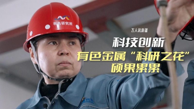 数据可视化在Excel中的应用：上海公司如何高效展示数据
